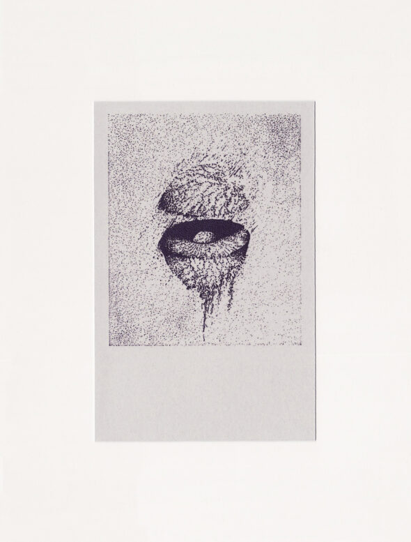 003 James King - rinsed : installed, C33 Cassette, digital