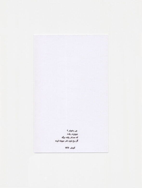 007 Biaban - New Silk Harp Strings, C29 Cassette, digital